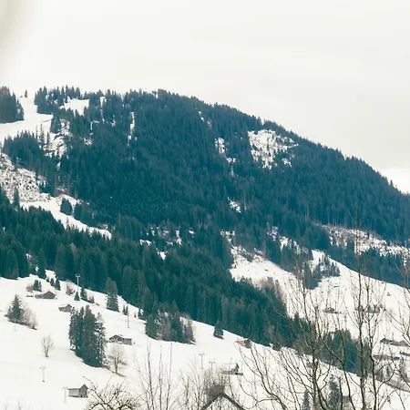 Charming With Alpine Ambiance * Gstaad