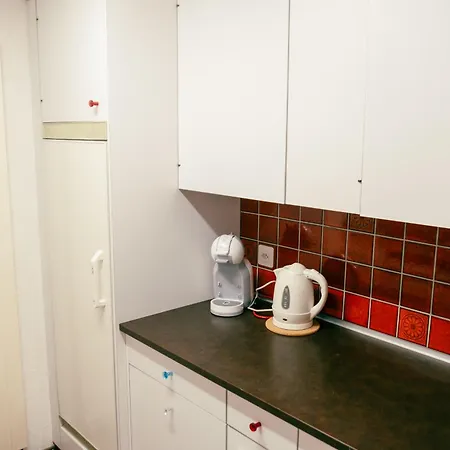 Charming With Alpine Ambiance Apartamento *