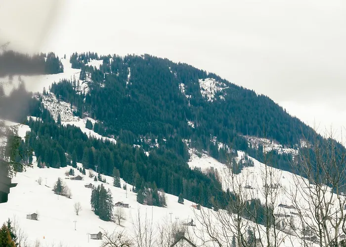 Charming With Alpine Ambiance * Gstaad