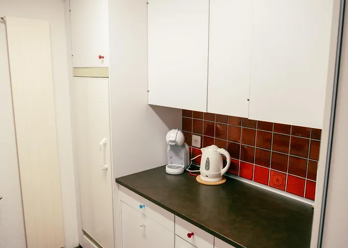 Charming With Alpine Ambiance Apartment *